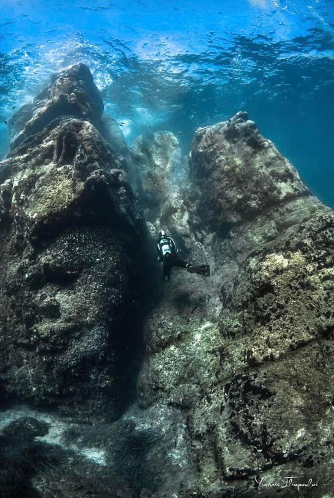 Scuba Diving gallery image