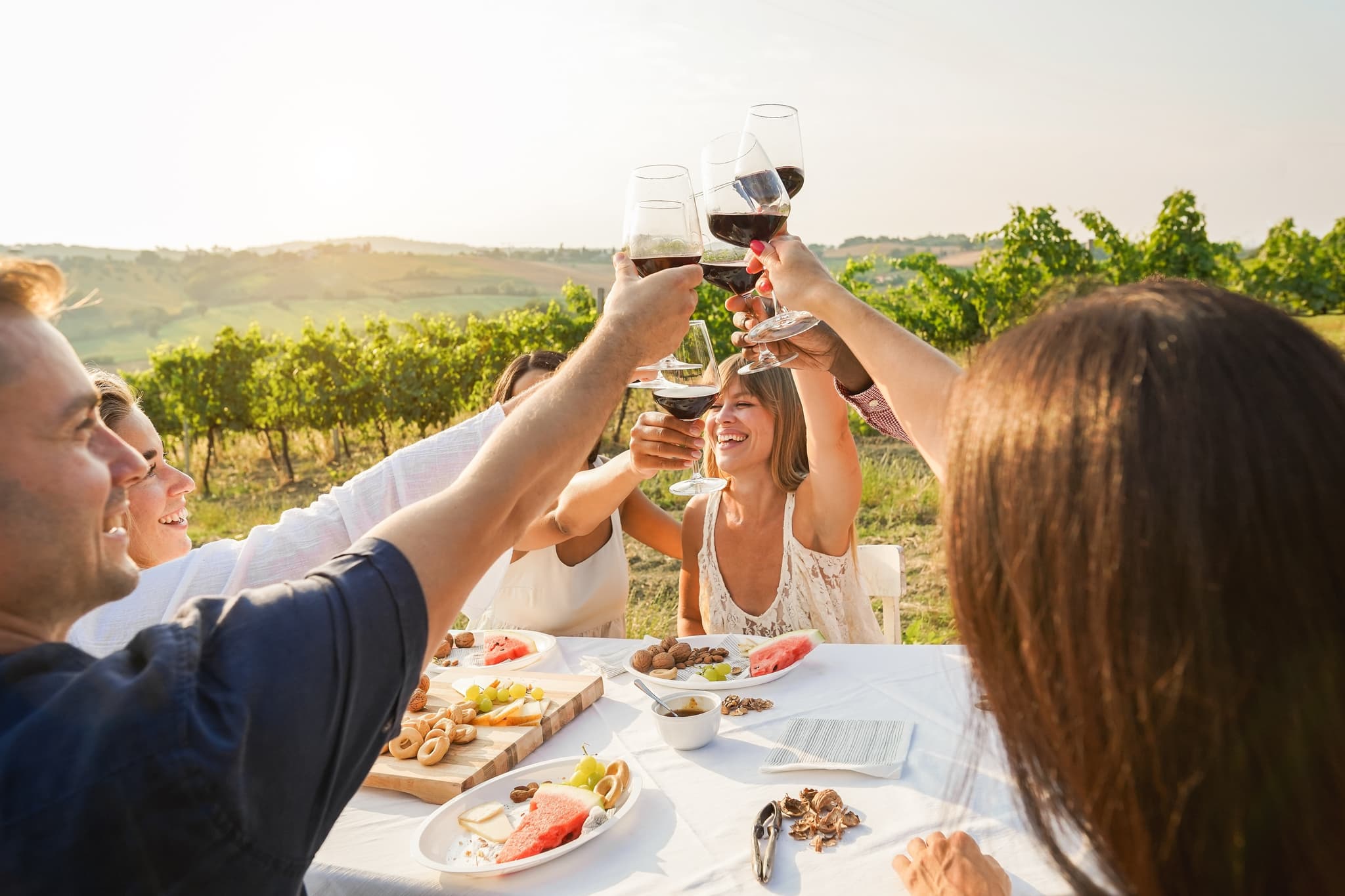 Wine Tours