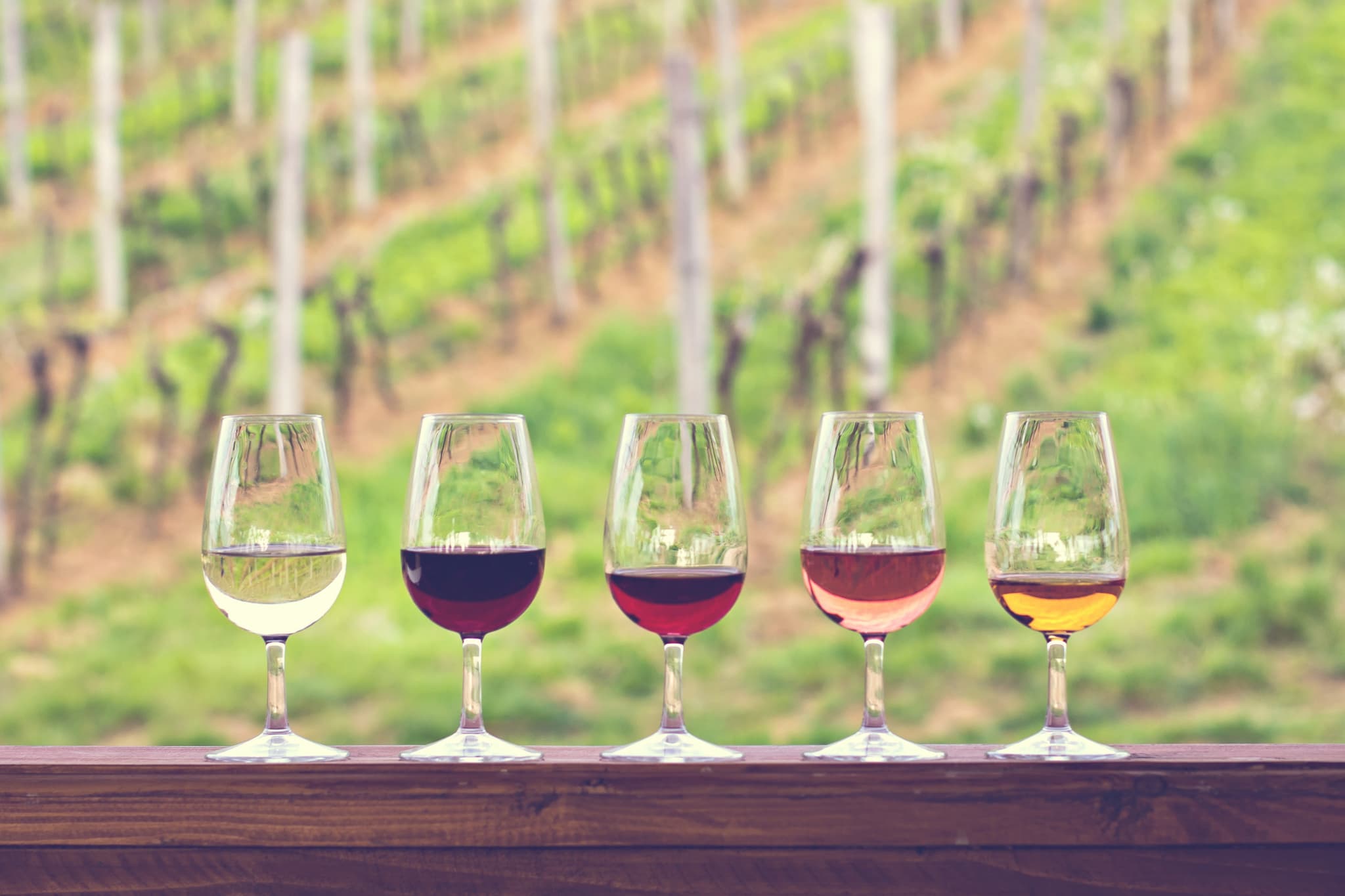 Wine Tours gallery image