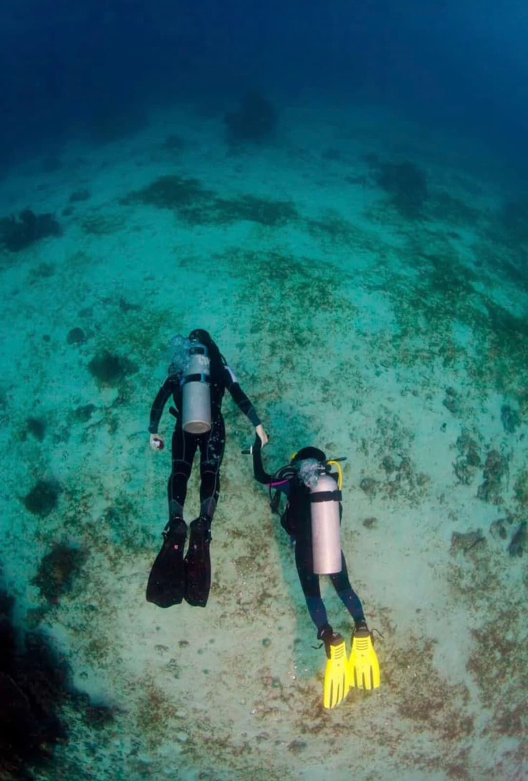Scuba Diving gallery image