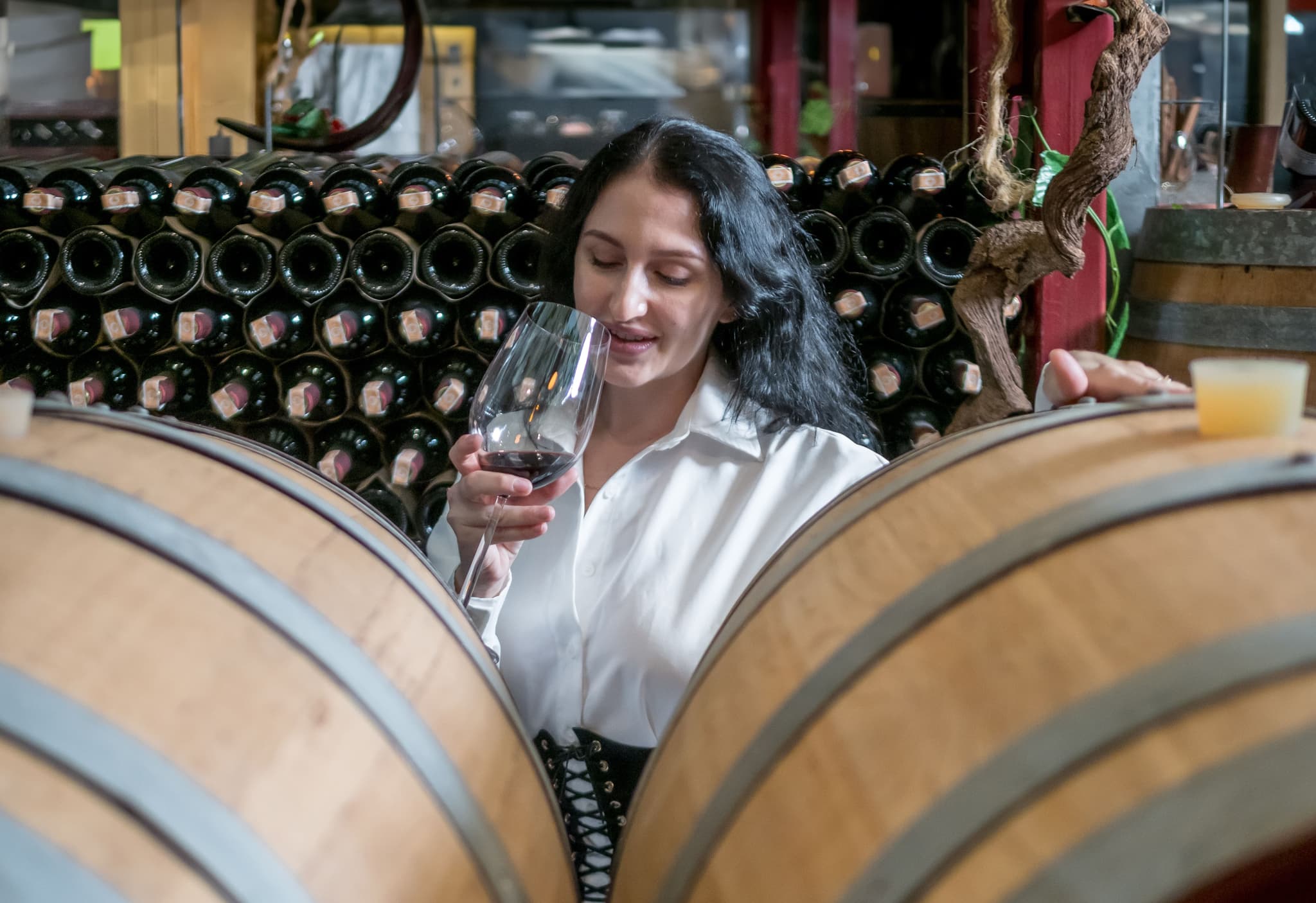 Wine Tours gallery image